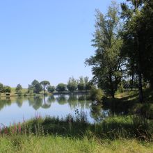 Le lac de Rabastens