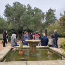 Visite du jardin antique méditerranéen à Balaruc